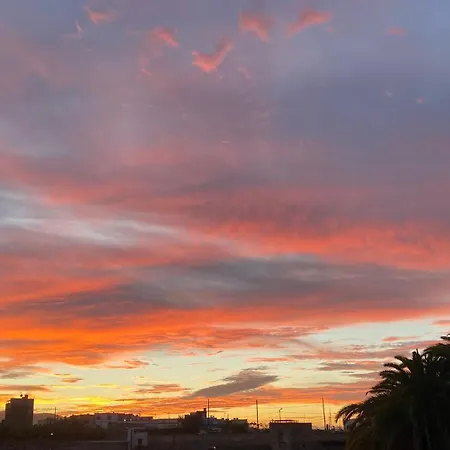 Alpispa Las Palmas de Gran Canaria